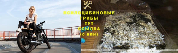 jwh Саяногорск