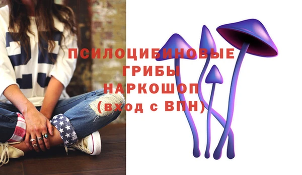 jwh Саяногорск