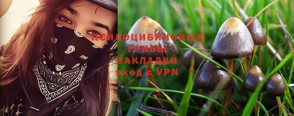 jwh Саяногорск