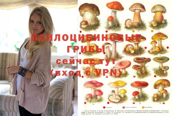 jwh Саяногорск