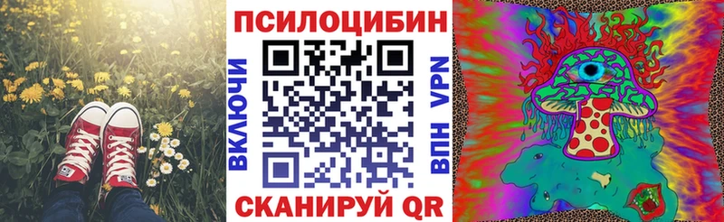 Галлюциногенные грибы Psilocybine cubensis  Купить  Яранск 